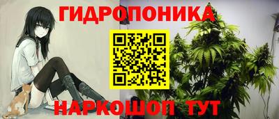 наркотики Кандалакша