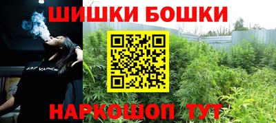 твердый Камышлов