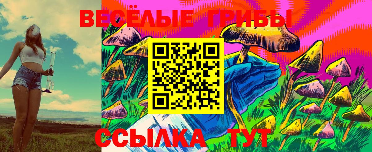 Краснокаменск  Галлюциногенные грибы Cubensis  Вход с VPN  Псилоцибиновые грибы GOLDEN TEACHER 